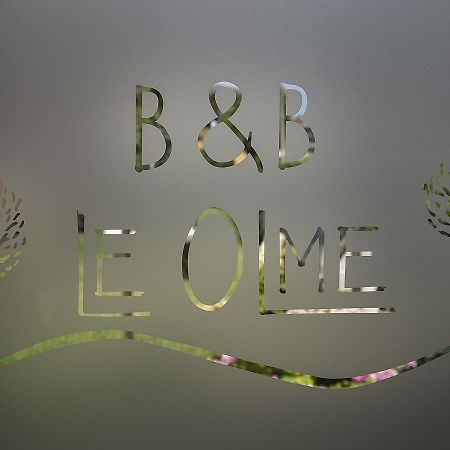 B&B Le Olme Mogliano Veneto Exteriér fotografie